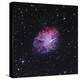 The Crab Nebula-Stocktrek Images-Premier Image Canvas