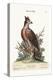 The Crowned Eagle, 1749-73-George Edwards-Premier Image Canvas