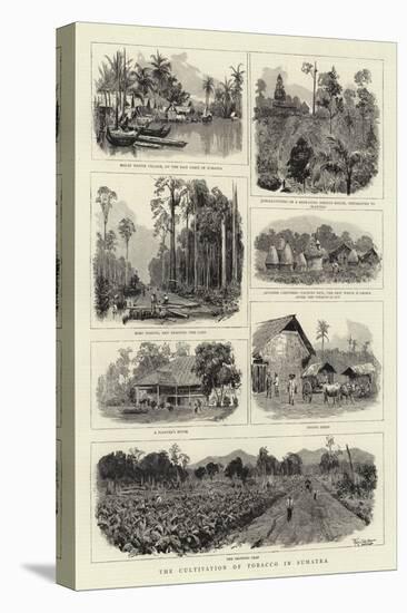 The Cultivation of Tobacco in Sumatra-null-Premier Image Canvas