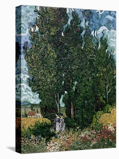 The Cypresses, c.1889-90-Vincent van Gogh-Premier Image Canvas