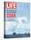 The Danger Filled Week of Decision: Cuba, US Navy Ships and Planes Off Cuba, November 2, 1962-Robert W. Kelley-Premier Image Canvas