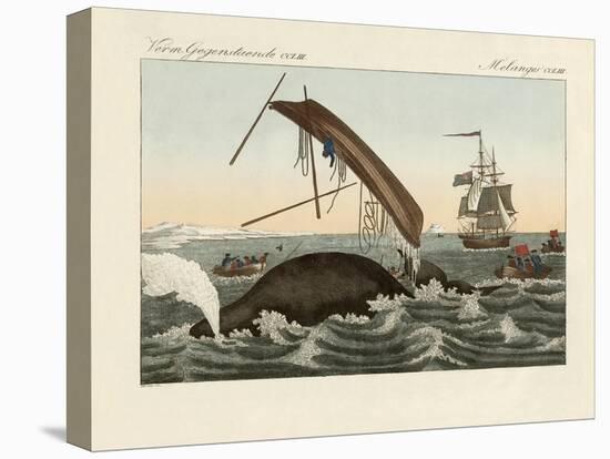 The Dangers of Whale Fishing-null-Premier Image Canvas