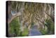 The Dark Hedges in Northern Ireland, Beech Tree Avenue, Northern Ireland, United Kingdom-Michael Runkel-Premier Image Canvas