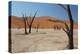 The Dead Acacia Trees of Deadvlei at Sunrise-Alex Saberi-Premier Image Canvas