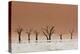 The Dead Acacia Trees of Deadvlei with a Heat Reflection-Alex Saberi-Premier Image Canvas