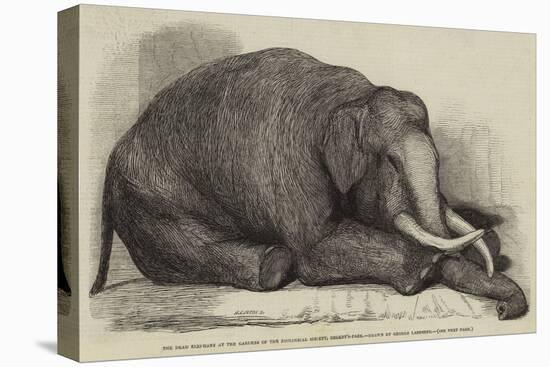 The Dead Elephant at the Gardens of the Zoological Society, Regent'S-Park-George Landseer-Premier Image Canvas