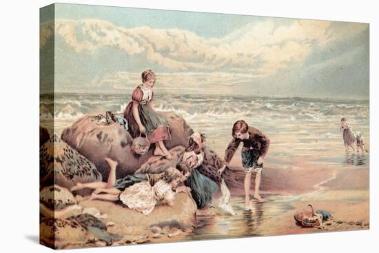 The Dead Sea-Bird-Myles Birket Foster-Premier Image Canvas