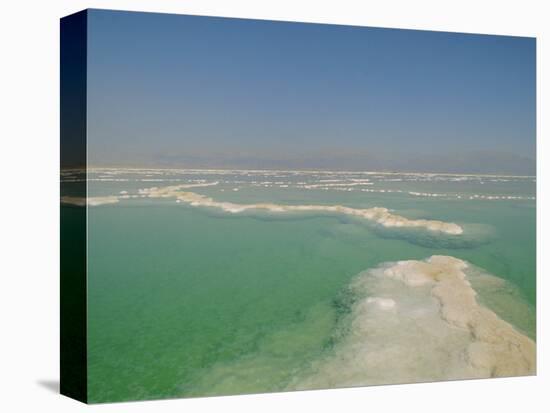 The Dead Sea, Israel, Middle East-Christina Gascoigne-Premier Image Canvas