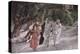 The Disciples on the Road to Emmaus, Illustration for 'The Life of Christ', C.1884-96-James Tissot-Premier Image Canvas