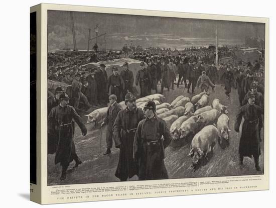 The Dispute in the Bacon Trade in Ireland, Police Protecting a Drover and His Pigs in Waterford-William Small-Premier Image Canvas