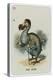 The Dodo-John Tenniel-Premier Image Canvas