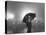 The Doorman Standing in the Rain Outside the Empire Theatre For the Royal Film Performance-Cornell Capa-Premier Image Canvas