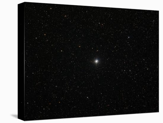 The Double Star Albireo in the Constellation Cygnus-Stocktrek Images-Premier Image Canvas