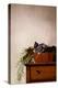 The Dresser, 2023 (Digital)-Roberta Murray-Premier Image Canvas