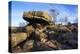 The Druids Writing Desk at Brimham Rocks, Nidderdale, North Yorkshire, England, UK-Mark Sunderland-Premier Image Canvas