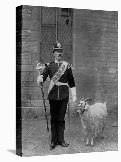 The Drum Major and Goat of the 1st Battalion the Welch Regiment, 1896-WM Crockett-Premier Image Canvas
