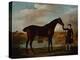 The Duke of Malboroughs Bay Hunter with a Groom-George Stubbs-Premier Image Canvas