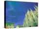 The Duomo, Lombardia, Milan, Italy-Walter Bibikow-Premier Image Canvas