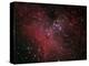 The Eagle Nebula-Stocktrek Images-Premier Image Canvas