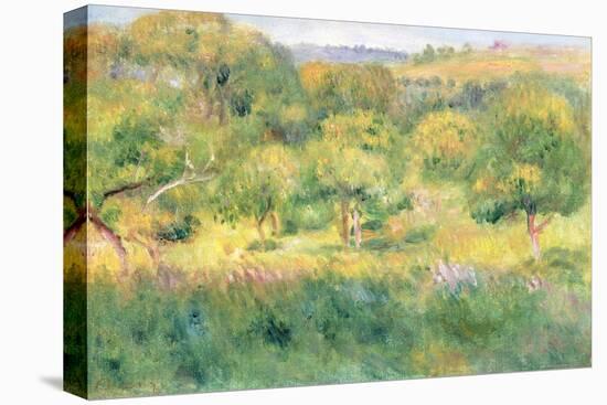The Edge of a Forest in Brittany, 1893-Pierre-Auguste Renoir-Premier Image Canvas