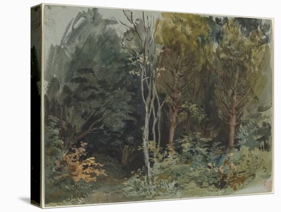 The Edge of a Wood at Nohant, C. 1842-1843 (W/C)-Ferdinand Victor Eugene Delacroix-Premier Image Canvas