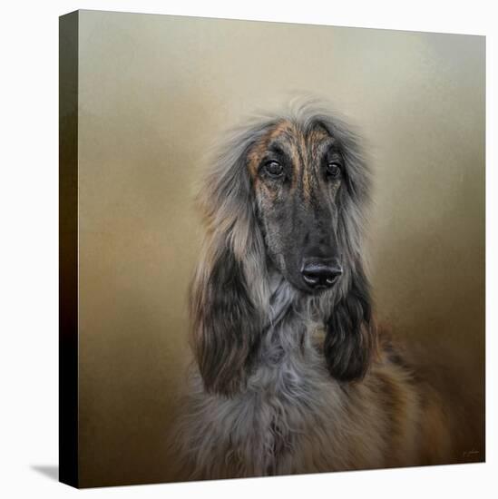 The Elegant Afghan Hound-Jai Johnson-Premier Image Canvas