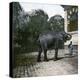 The Elephant in the Jardin Des Plantes, Paris, Circa 1895-1900-Leon, Levy et Fils-Premier Image Canvas