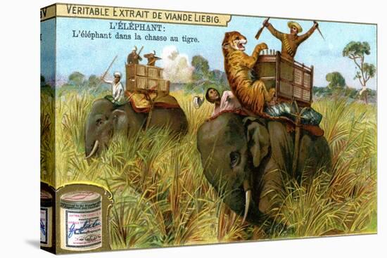 The Elephant on a Tiger Hunt, C1900-null-Premier Image Canvas