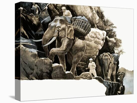 The Elephant Trek of Elephant Bill-null-Premier Image Canvas