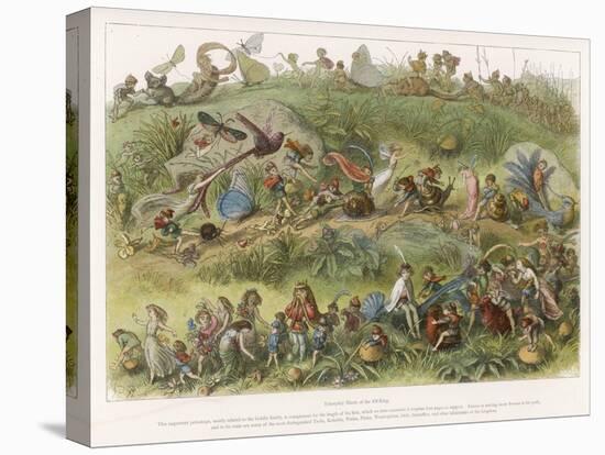 The Elf King's March of Triumph-Richard Doyle-Stretched Canvas