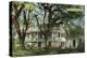 The Elms Mansion, Natchez, Mississippi-null-Stretched Canvas