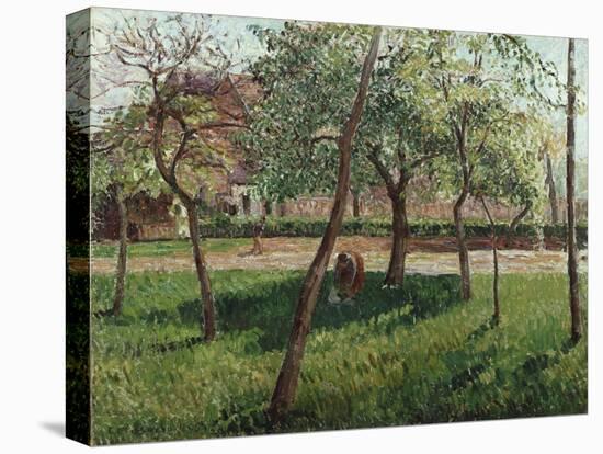 The Enclosure at Eragny, Un Clos a Eragny, 1895-Eugène Boudin-Premier Image Canvas