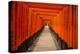 The Endless Red Gates of Kyoto's Fushimi Inari Shrine, Kyoto, Japan, Asia-Michael Runkel-Premier Image Canvas