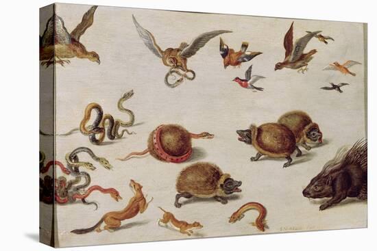 The Enemies of Snakes-Jan van Kessel-Premier Image Canvas