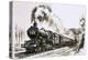 The Famous 4-6-0 Castle Class of Steam Locomotives Used by Great Western-John S. Smith-Premier Image Canvas