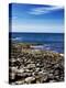 The Famous Giant's Causeway of Northern Ireland-Bartkowski-Premier Image Canvas