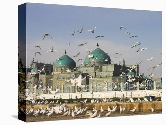 The Famous White Pigeons, Shrine of Hazrat Ali, Mazar-I-Sharif, Balkh Province, Afghanistan-Jane Sweeney-Premier Image Canvas