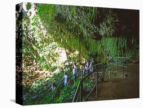 The Fern Grotto, Kauai, Hawaii, USA-Charles Sleicher-Premier Image Canvas