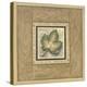 The Fig Leaf-Constance Lael-Stretched Canvas