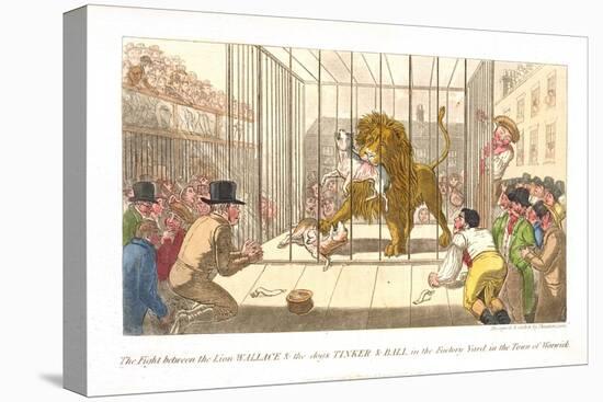 The Fight Between the Lion Wallace and the Dogs Tinker and Ball in the Factory Yard-Theodore Lane-Premier Image Canvas