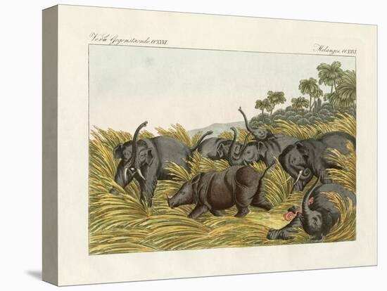 The Fight of the Rhinoceros with the Elefants-null-Premier Image Canvas