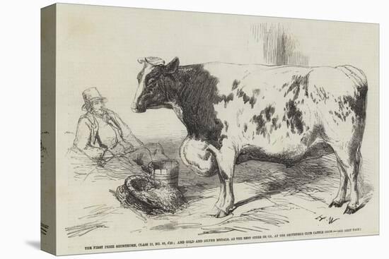 The First Prize Shorthorn-Harrison William Weir-Premier Image Canvas