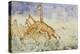 The First Rush of the Giraffes, 1861-Sir Samuel Baker-Premier Image Canvas