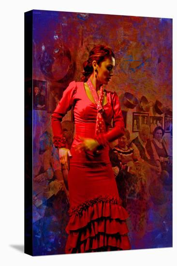The Flamenco Dancer-Steven Boone-Premier Image Canvas