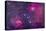 The Flaming Star Nebula in Auriga-Stocktrek Images-Premier Image Canvas