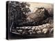 The Flock and the Star-Samuel Palmer-Premier Image Canvas