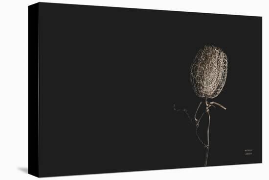 The Flower-Nathan Larson-Premier Image Canvas