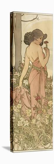 The Flowers: Carnation, 1898-Alphonse Mucha-Premier Image Canvas