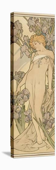 The Flowers: Iris, 1898-Alphonse Mucha-Premier Image Canvas