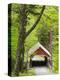 The Flume Covered Bridge, Pemigewasset River, Franconia Notch State Park, New Hampshire, USA-Jerry & Marcy Monkman-Premier Image Canvas